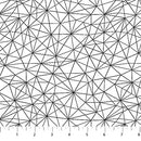 Basically Black & White - Geo Mesh