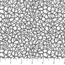 Basically Black & White - Voronoi