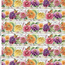 Dahlia Botanica - Repeating Stripe