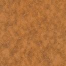 Fusions- Hazelnut