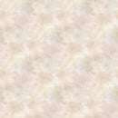 Wild and Free- Texture Cream