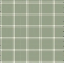 Holly Jolly Patch - Sage Check