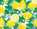 Lemon Drop - Lemon Blossoms