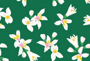 Lemon Drop - Dainty Florals