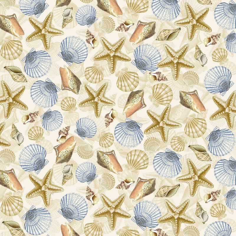 Ocean Breeze - Natural Varied Coastal Shells