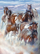 Wild and Free - Panel