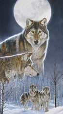 Wild at Heart - Panel