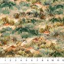 The Great Outdoors - Desert Scene
