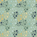 Flannel It's a Boy Stars Sage