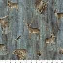 STONEHENGE TIMBERLAND TRAIL