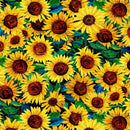 Sunflower Symphony - Sunflower