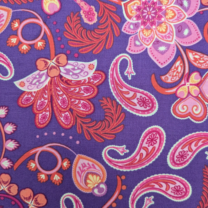 Mollys Magic - Midnight Dreams