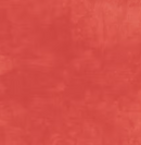 Light Red Color Wash Flannel