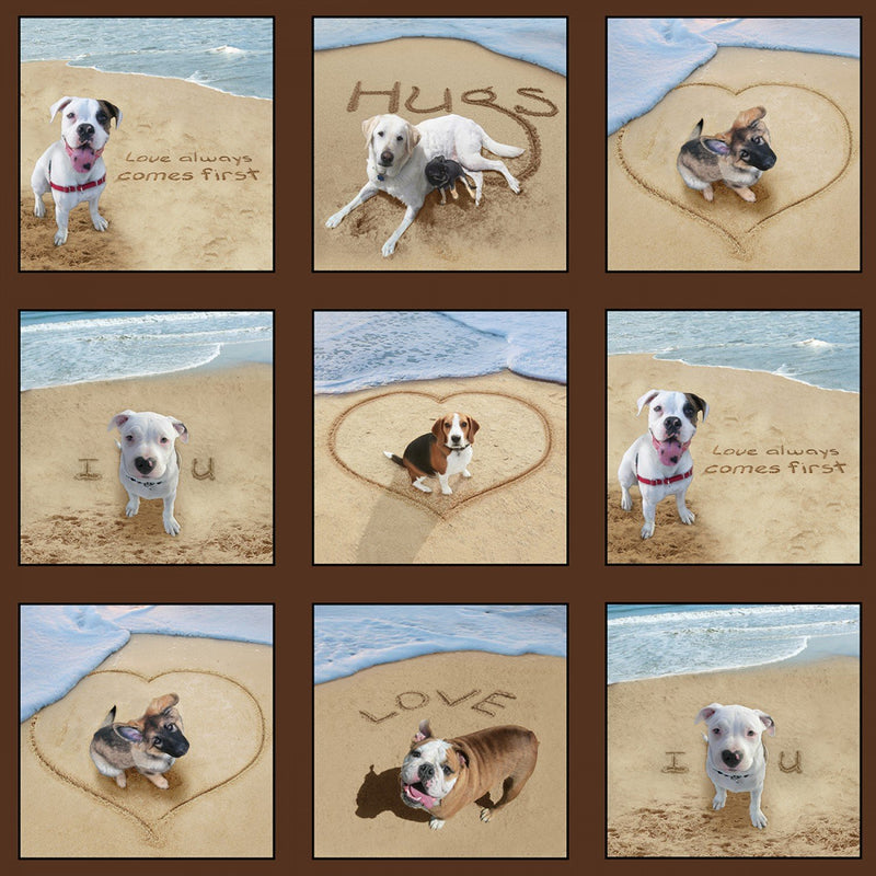 Dogs Scribbling in Sand - Block Panel