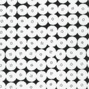 R. Kaufman - JARDIN NOIR - Ice -