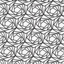 R. Kaufman - JARDIN NOIR - Ice -